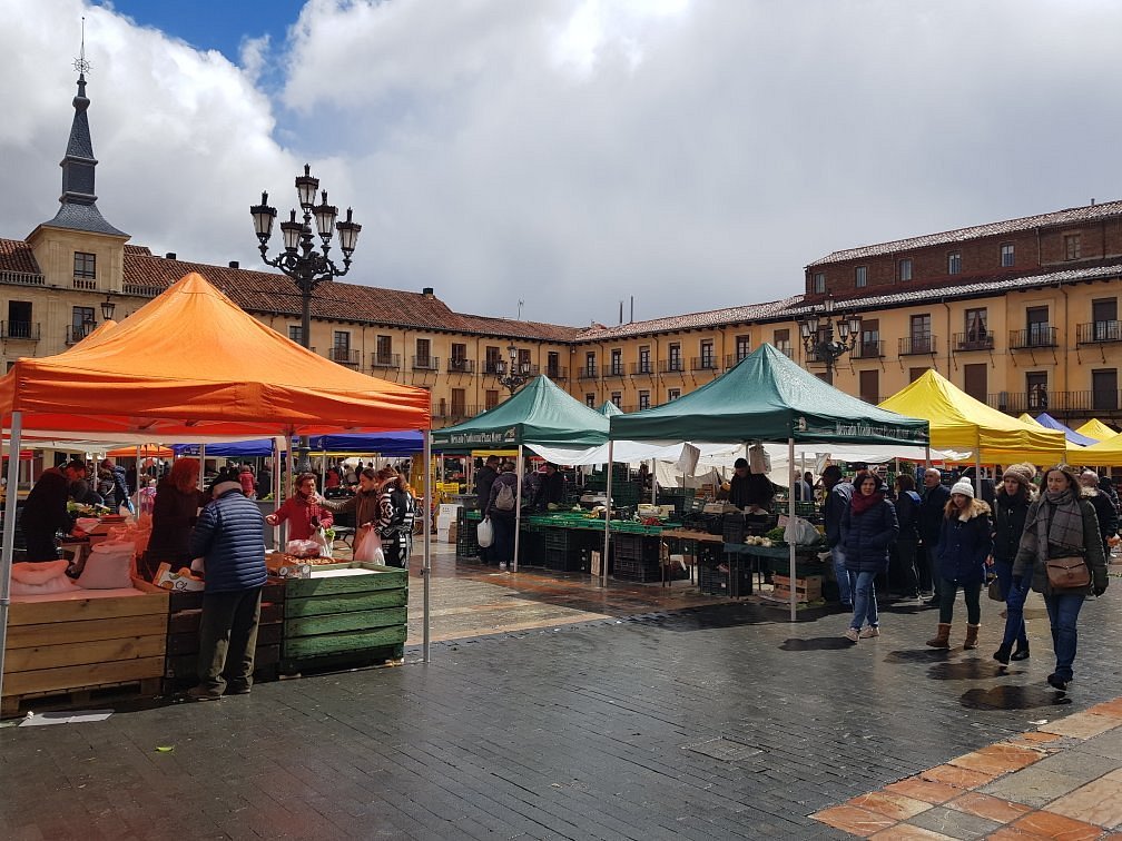 Mercados de Leon, donde encontrar lo mejor de la gastronomia y la artesania  leonesa | MK77 Apartamentos